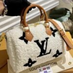 Louis Vuitton LV Ski Speedy Bandoulière 25 White 25Cm M23468 - Image 2