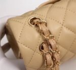 Chanel Classic Flap Beige Gold Hardware 25Cm - Image 4